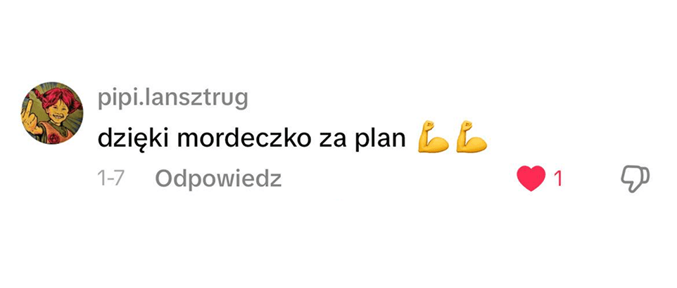 Recenzja użytkownika